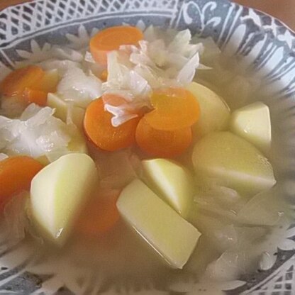 野菜の鶏ガラスープ煮